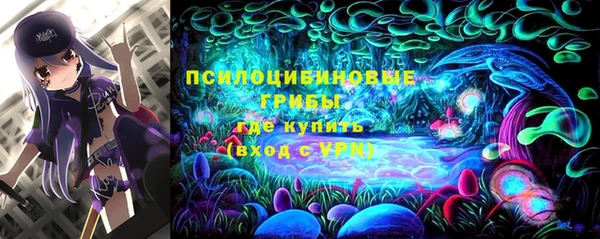 соль ск Балахна