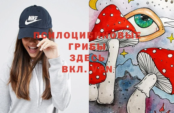 соль ск Балахна