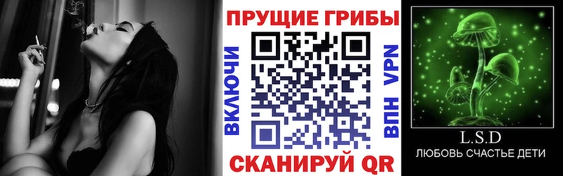 Галлюциногенные грибы Magic Shrooms Новоалександровск